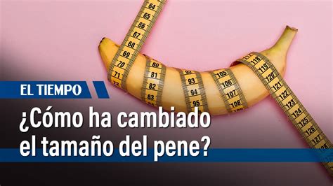 pitos penes|¿Qué tanto importa el tamaño del pene para la salud de los.